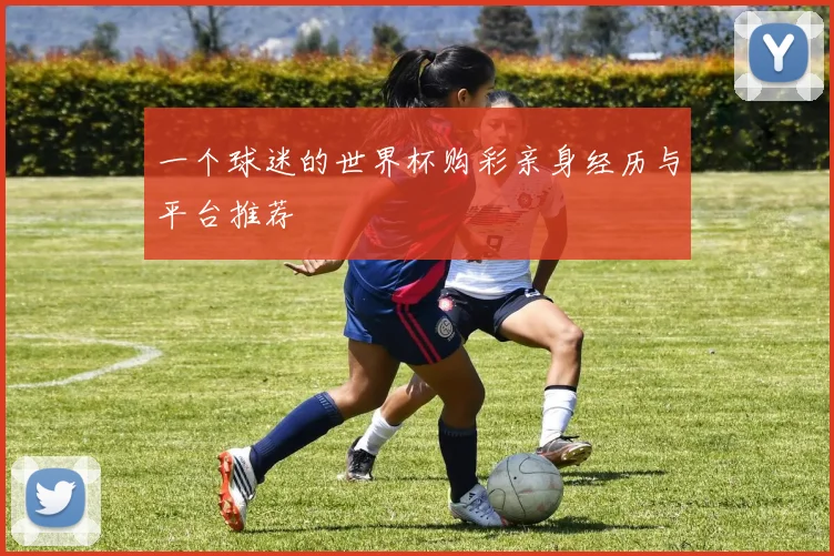 一个球迷的世界杯购彩亲身经历与平台推荐