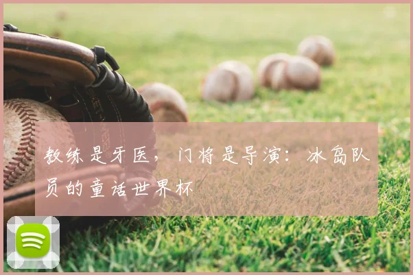 教练是牙医，门将是导演：冰岛队员的童话世界杯