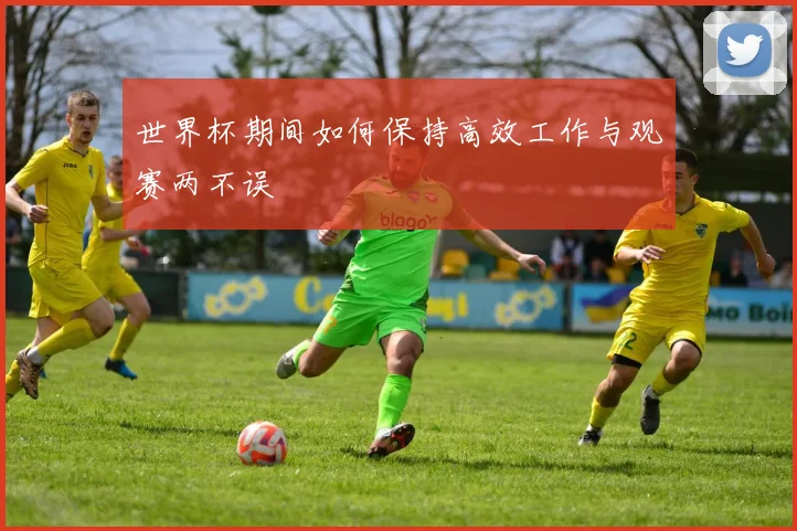 世界杯期间如何保持高效工作与观赛两不误