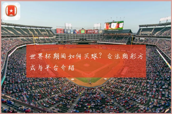 世界杯期间如何买球？合法购彩方式与平台介绍