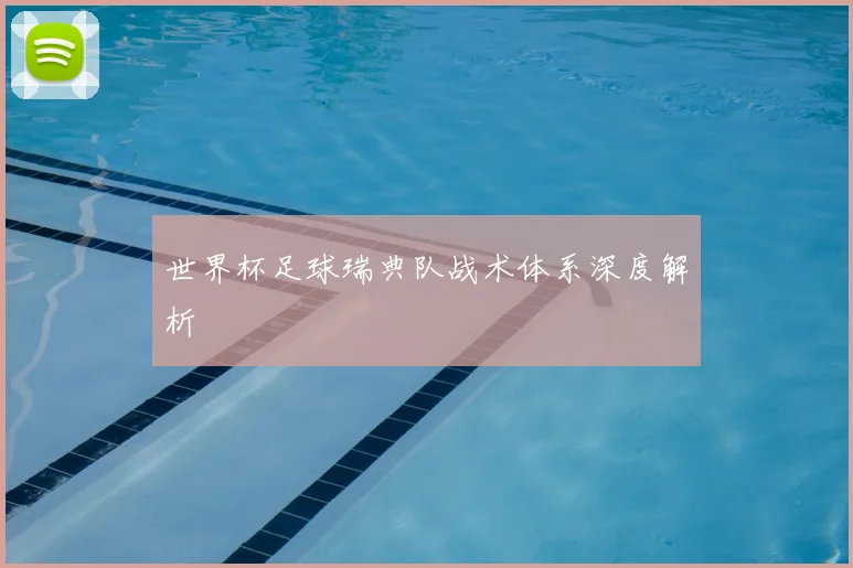 世界杯足球瑞典队战术体系深度解析