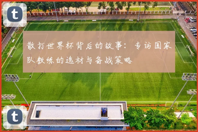 散打世界杯背后的故事:专访国家队教练的选材与备战策略