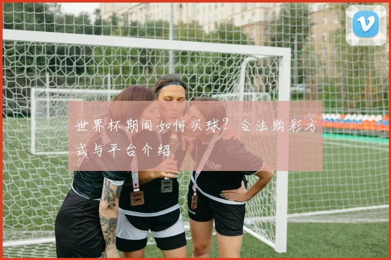 世界杯期间如何买球？合法购彩方式与平台介绍