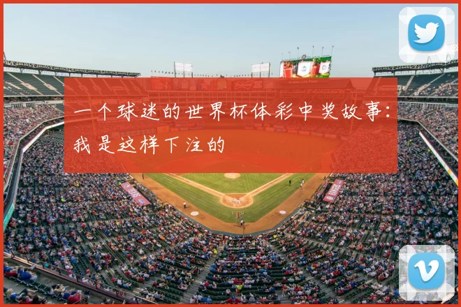 一个球迷的世界杯体彩中奖故事:我是这样下注的