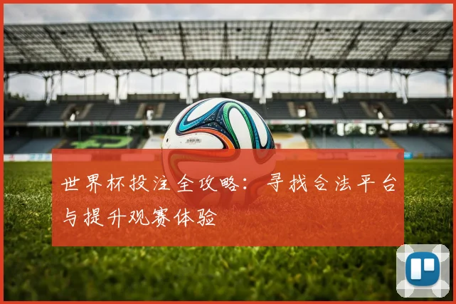 世界杯投注全攻略：寻找合法平台与提升观赛体验